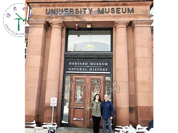 哈佛大學(xué)礦物博物館館長Raquel-Alonso-Perez拉奎爾·阿隆索·佩雷斯（左），譚力（右）